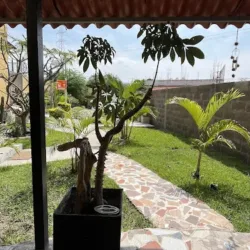 * Cremación De Mascotas En Cuernavaca * Huellitas En Mi Memoria . . .Pets Cremation