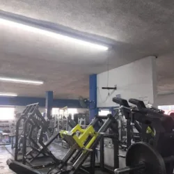 Silver Gym & Fitness