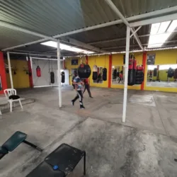 Escuela de Box Las Torres