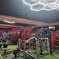 EXCESS GYM