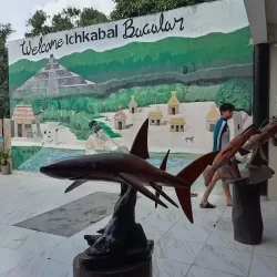 Papeleria Y Novedades La Escuelita