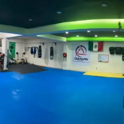 Green Force Academia de Artes Marciales Mixtas