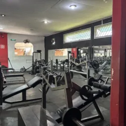Club Gym