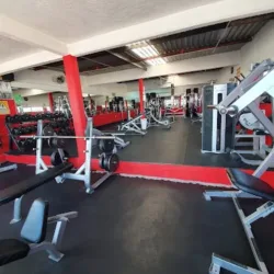 Xtreme Gym Fitness
