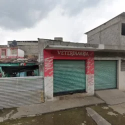 Angelitos Renta De Inflables