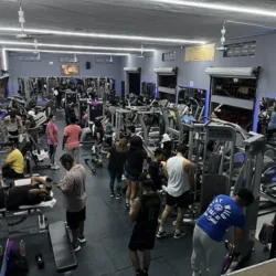 Elite fitness