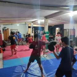 Davis Wushu SANDA