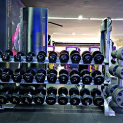 Gravity Center Gym