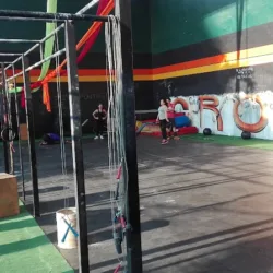 Nexxus CF