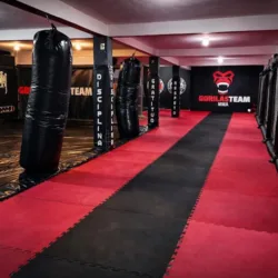 Gorilas Team MMA