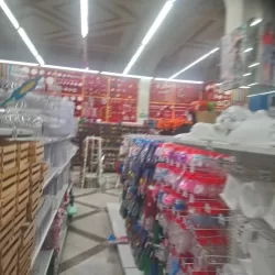 PARISINA CHILPANCINGO POSADA