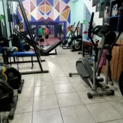 ZEUS GYM