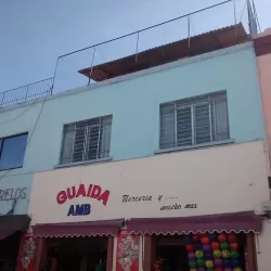 Guaida AMB