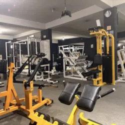 Lobos GYM