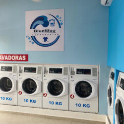 Lavandería BlueWoo Suc. Industrial