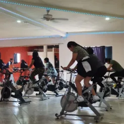 FITNESS ALFA