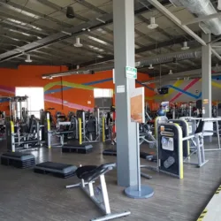 Easy Fit Iteso