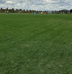 Campo gallos