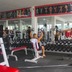 AM GYM High Performance
