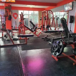 Gym Body Factory