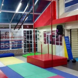 Gimnasio Flores