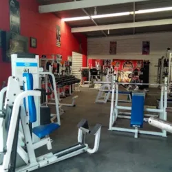 Gym Mr. Moy