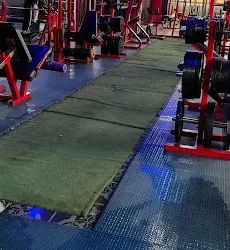Gym. Kong