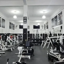 Bravus Gym El Bosque