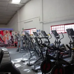 Quetzal Gym