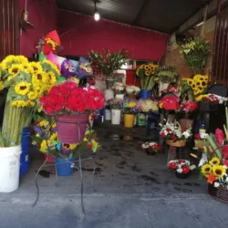 Florería Romelias