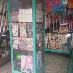 Papeleria y mercería la virginia