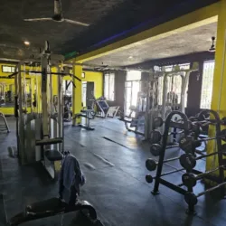 Genetic Gym