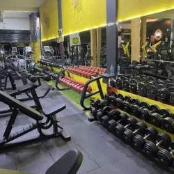 Gimnasio Live Fit Aldama