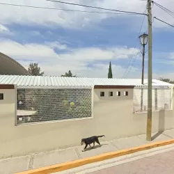 El Arte del Disfraz