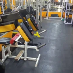 GIMNASIO MAX GYM