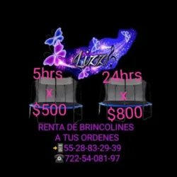 Renta de brincolines LiZzY