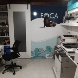 Foca una impresion