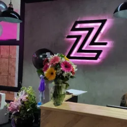 zpinzonemx