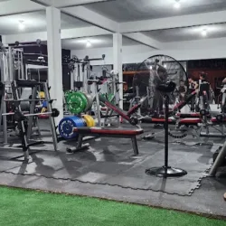 Master Gym