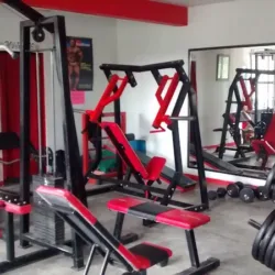 Vikingos Gym