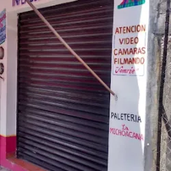 Renta de Inflables y Brincolines Pinos