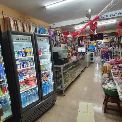 Papelería y Novedades La Asunción
