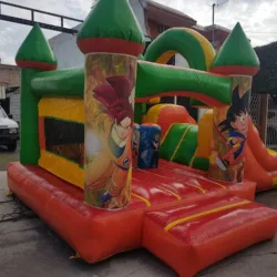Brincolines Tepic
