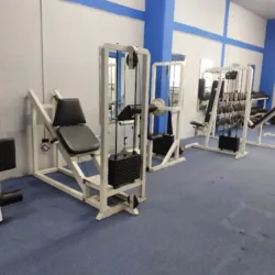 Gimnasio Arturo González