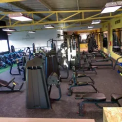 Wellnes and Barre Gym