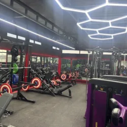 Muscle Factory Gym NR 2.0
