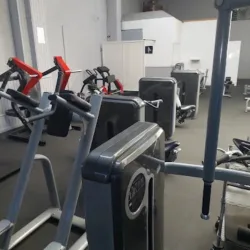 Shark gym upn