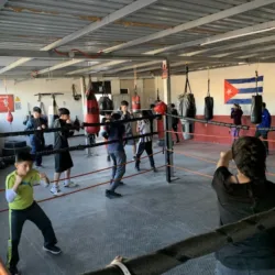 Kronos Boxing