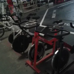 Alex Gym Club