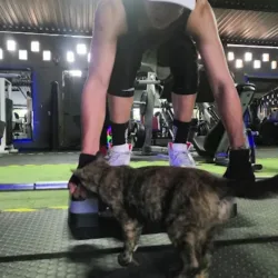 Be fit gym